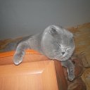 ���� ������, ����, 52 ���� - ��������� 11 ������� 2012