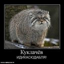 ���� �������, ������, 46 ��� - ��������� 4 ������� 2011 � ������ ��������� :)�