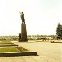  , , 33  -  15  2009       ?