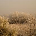 ���� �������, �������, 57 ��� - ��������� 16 ������ 2012 � ������ ����� ������� �����