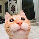 ���� ���������, ����������, 49 ��� - ��������� 15 �������� 2012