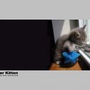 ���� Orange_juice, ������, 31 ��� - ��������� 9 ���� 2011 � ������ ���� ����������