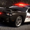 ���� �����, ����, 43 ���� - ��������� 22 ���� 2013 � ������ ���� ����������