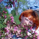 ���� ����, ���������� - ��������� 28 ���� 2013 � ������ ���� ����������