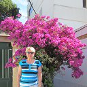 ���� ���, �����-���������, 67 ��� - ��������� 8 ���� 2013 � ������ ���� ����������