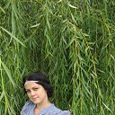 ���� ����, �������, 36 ��� - ��������� 14 ������ 2012