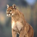 ���� ����, ������ - ��������� 4 ���� 2010 � ������ �������