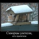 ���� Serega, ��������� - ��������� 26 ��� 2013 � ������ ���� ����������