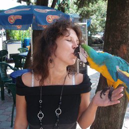 ���� ������, ������ ��������, 45 ��� - ��������� 17 ���� 2011