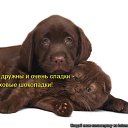 ���� �������, ������, 71 ��� - ��������� 2 ������ 2011 � ������ ���� �������� �����������