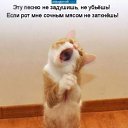 ���� ��������, ������ - ��������� 27 �������� 2010 � ������ ���������!!!�