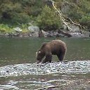 ���� ��������, ���������, 70 ��� - ��������� 15 ����� 2013 � ������ �� ������ � ��������� �����