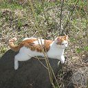 ���� ���������, �������, 42 ���� - ��������� 18 ������ 2012 � ������ �������