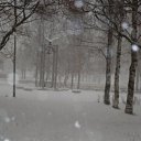 ���� ���������, �����-��������� - ��������� 10 ������ 2009 � ������ �������...�