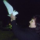 ���� �������, ����, 51 ��� - ��������� 4 ������ 2011 � ������ ���� ����������