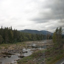 ���� ����� ����������, ������ - ��������� 29 �������� 2010