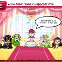 ���� ����, �����-��������� - ��������� 2 ������ 2011 � ������ �PetLove�