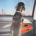 ���� �������, ���������, 52 ���� - ��������� 7 ������� 2012