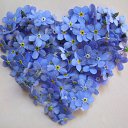 ���� ���@����@, �������, 49 ��� - ��������� 19 ��� 2010 � ������ �����������