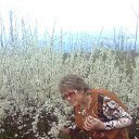 ���� �������, ����, 62 ���� - ��������� 15 ���� 2012 � ������ ���� ����������