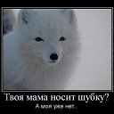  ~~, , 27  -  10  2011    