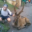 ���� ������, �����, 37 ��� - ��������� 28 ������� 2009