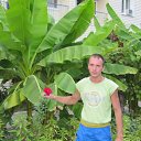  , --, 40  -  21  2010    