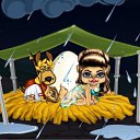 ���� ���, ����� - ��������� 8 ������ 2011 � ������ ���� ����������