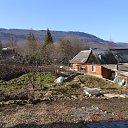 ���. ������ �� ������� ���� ����������