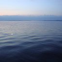  Serzh Van Der Maaremaan,  -  1  2009    ϻ