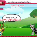  , -, 24  -  28  2010   PetLove