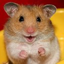 ���� &deg;&bull;*������&deg;&bull;*, ����������, 23 ���� - ��������� 9 ������� 2010 � ������ ��������