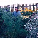 ���� ������, ������, 43 ���� - ��������� 25 ����� 2012 � ������ ���� ����������