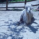 ���� ���������, �������, 62 ���� - ��������� 22 ���� 2012 � ������ �������