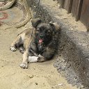 ��� ������ �� ������� ����� ��� ������������