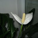 ���� V�������, ��������� - ��������� 6 ������� 2012 � ������ ���������.�