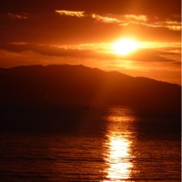 ���� *****, ��������, 84 ���� - ��������� 14 �������� 2011