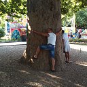 ���� ���������, ���������, 42 ���� - ��������� 29 ������ 2013 � ������ ���� ����������