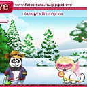  Douhi, , 42  -  23  2011   PetLove