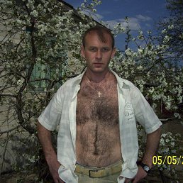 ����, �������, 55 ���