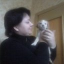 ���� ������, ����, 44 ���� - ��������� 29 ������� 2011 � ������ ���� ����������