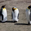 ���� Oleg, ������ - ��������� 1 ������ 2010 � ������ ���� ����������