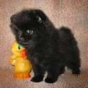  , -, 50  -  24  2011