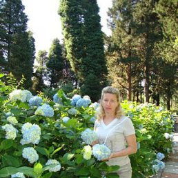 �������, ����������, 61 ���