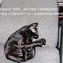 ���� ������, �������, 40 ��� - ��������� 13 ������� 2009 � ������ ����������� ��������, ������� ����������
