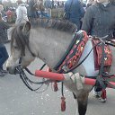 ���� ������, ������������, 56 ��� - ��������� 7 ������ 2013 � ������ ���� ����������