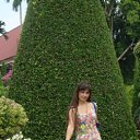  Vlada, , 50  -  11  2013    