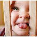 ���� ������, ��������, 30 ��� - ��������� 12 ���� 2010