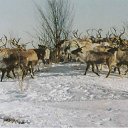 ���� ����, ����, 54 ���� - ��������� 13 ��� 2011 � ������ ������ �����.........�