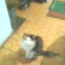 ���� �����, ������������, 38 ��� - ��������� 4 ������� 2012 � ������ ���� ��������